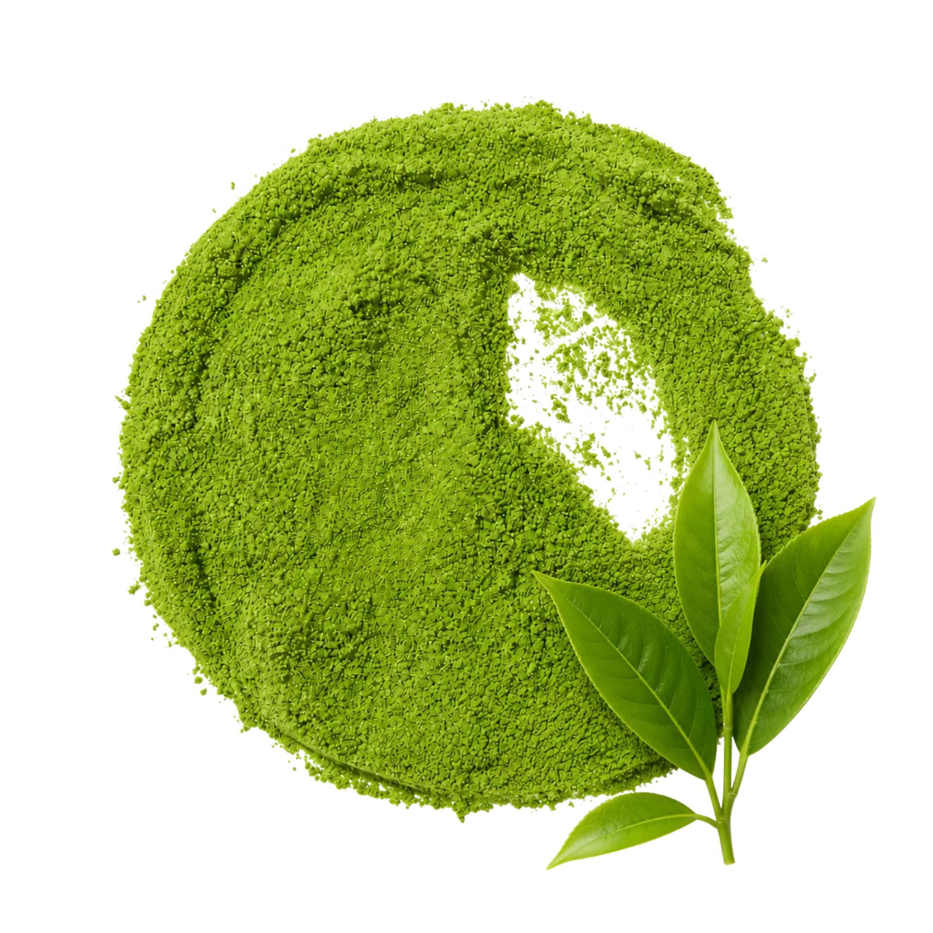 Matcha Doze alternate